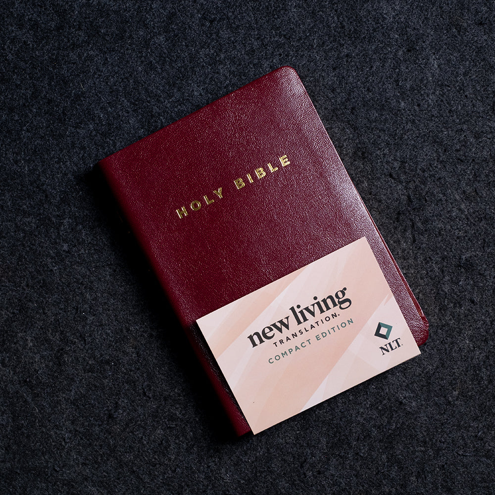 WG | ESV Comfact Holy Bible