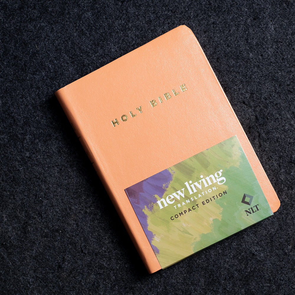 WG | ESV Comfact Holy Bible