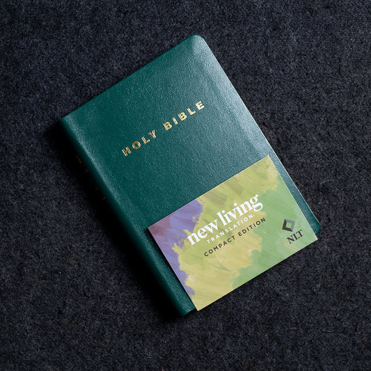 WG | ESV Comfact Holy Bible