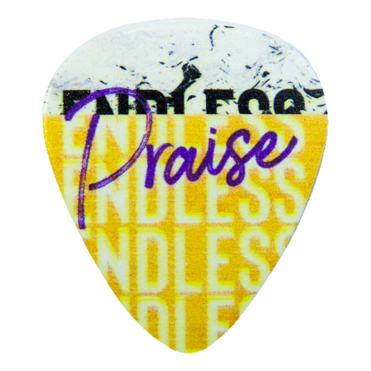 Guitar Pick Endless Praise
